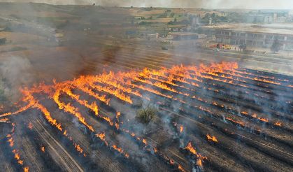 20 günde 930 dönüm buğday ekili alanda yangın çıktı